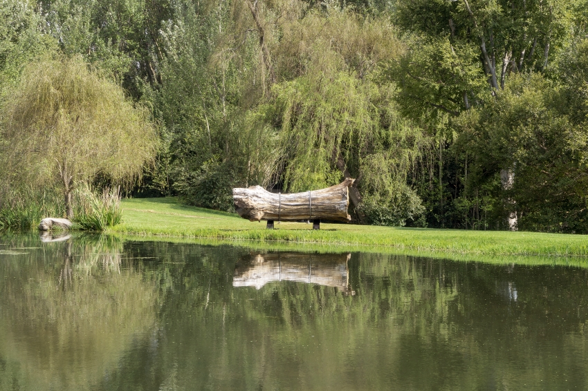 Marco Miehling - A Tree is a Big Plant with a Stick Up in the Middle (Nirox SA, 2019)