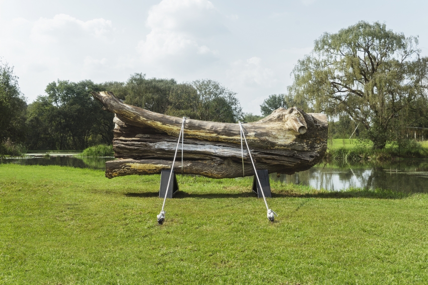 Marco Miehling - A Tree is a Big Plant with a Stick Up in the Middle (Nirox SA, 2019)