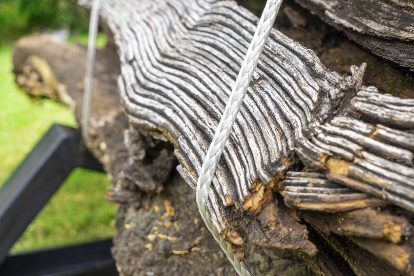 Marco Miehling - A Tree is a Big Plant with a Stick Up in the Middle (Nirox SA, 2019)