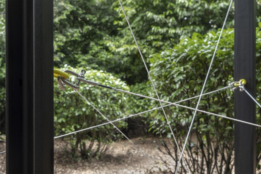 Marco Miehling - Among Her Leisure Occupations is Birdwatching