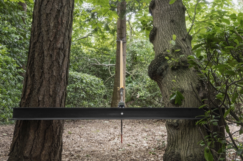 Marco Miehling - Among Her Leisure Occupations is Birdwatching