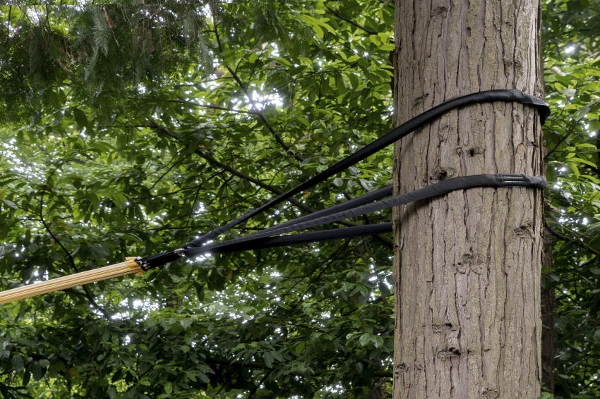 Marco Miehling - Among Her Leisure Occupations is Birdwatching