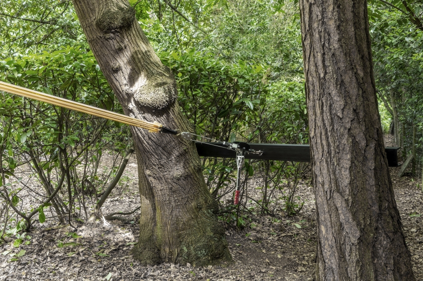 Marco Miehling - Among Her Leisure Occupations is Birdwatching