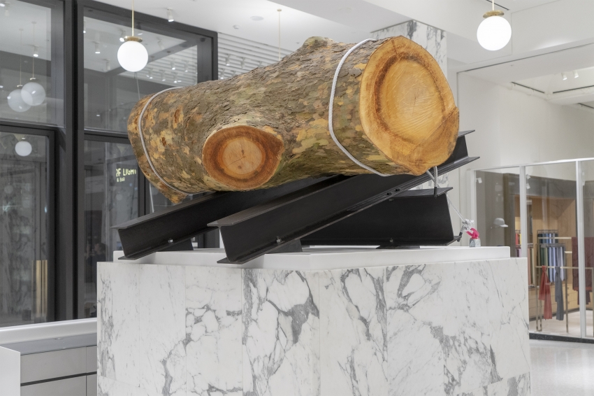 Marco Miehling - A Tree is a Big Plant with a Stick Up in the Middle (London)