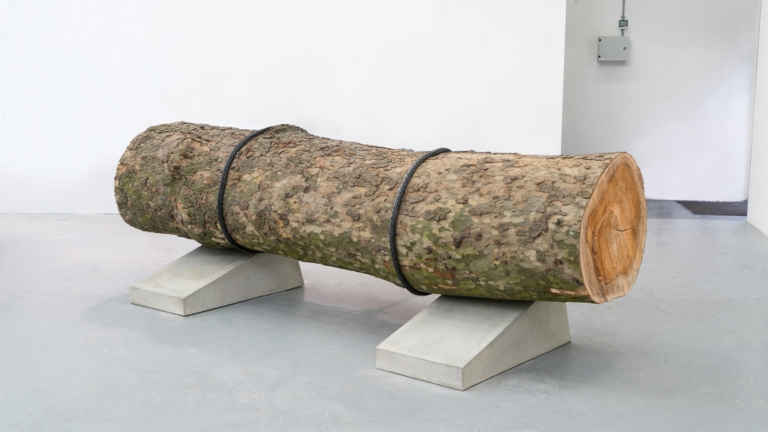 Marco Miehling - A Tree is a Big Plant with a Stick Up in the Middle