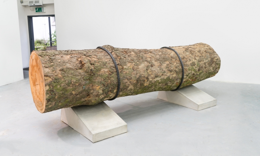 Marco Miehling - A Tree is a Big Plant with a Stick Up in the Middle