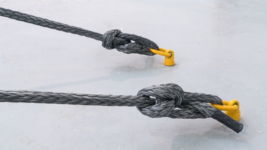 Marco Miehling - A Tree is a Big Plant with a Stick Up in the Middle